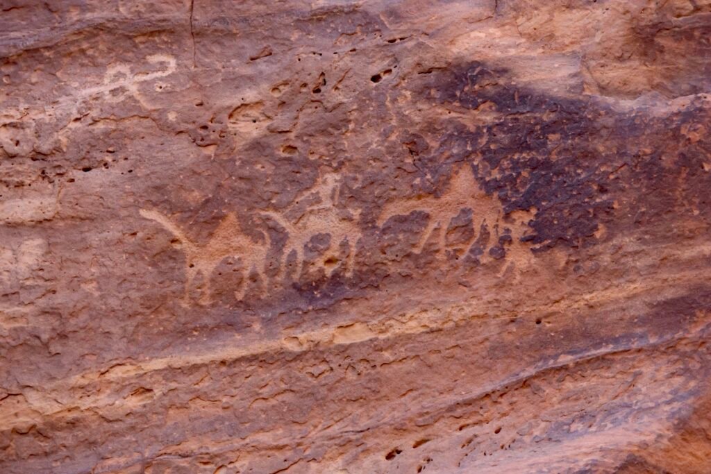 saoedi arabië 2025 11 06 (105)